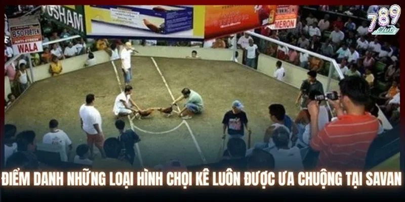 Khám phá những hình thức chọi kê độc đáo và đặc sắc