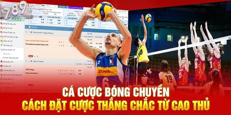 Bí quyết cá cược bóng chuyền 789club