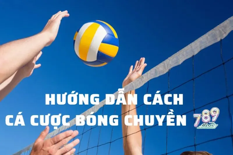 Các bước tham gia cá cược bóng chuyền 789club
