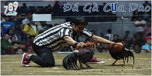 Tổng quan game đá gà cựa dao 789club