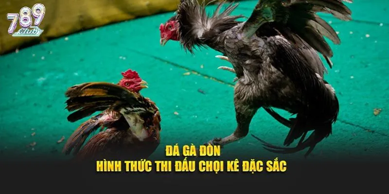 Tổng quan game đá gà đòn 789club