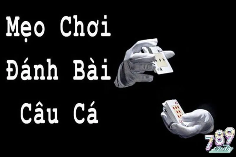 Tuyệt chiêu đánh Bài câu cá 789club từ cao thủ